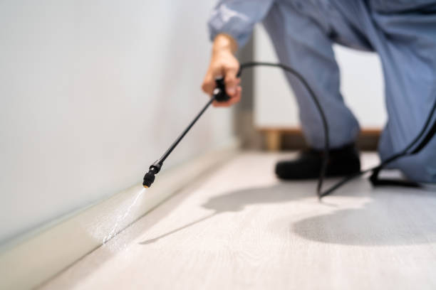 Licensed Mosquito Control service in Parkland, WA - Show Me Pest Control