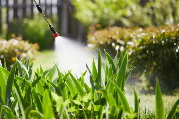 24/7 Emergency Mosquito Control experts in Parkland, WA