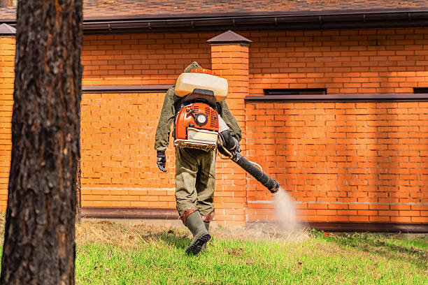 Top rated local Mosquito Control specialists in Parkland, WA
